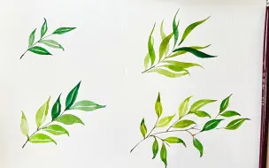 【零基础水彩教程】枝叶的组合形式（上）每天5分钟，打卡水彩画