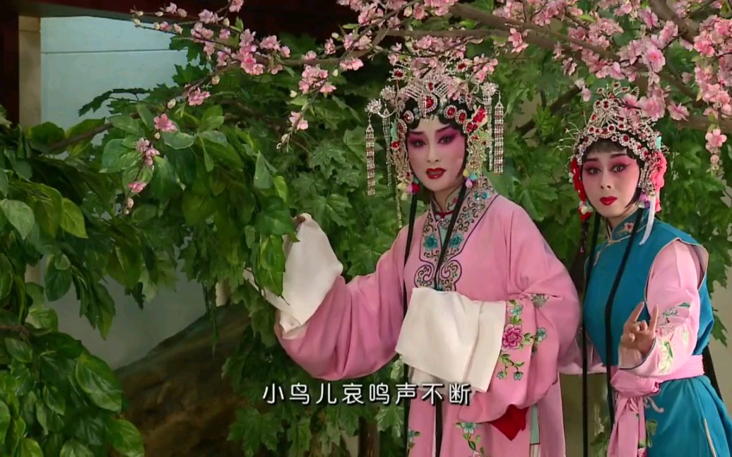 秦腔《火焰驹》小鸟儿哀鸣声不断 王曼