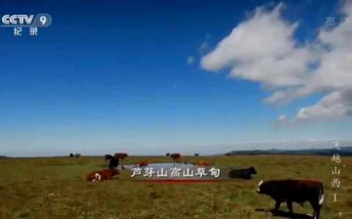 [图]纪录片《飞越山西》芦芽山配乐