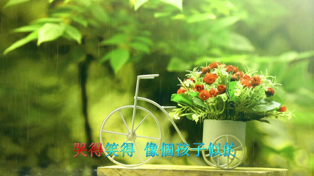 周深 《小舍得》完整版MV !哔哩哔哩bilibili