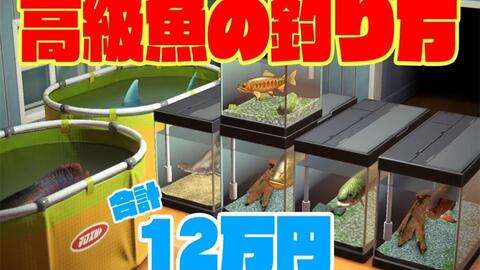 集合啦！动物森友会はしご】ゴールデントラウトやドラドやイトウなど 
