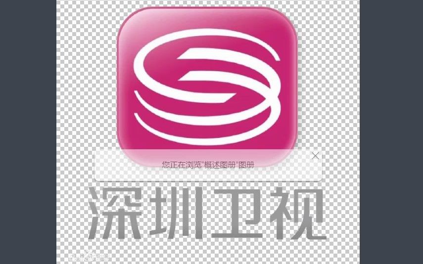 深圳卫视logo图片