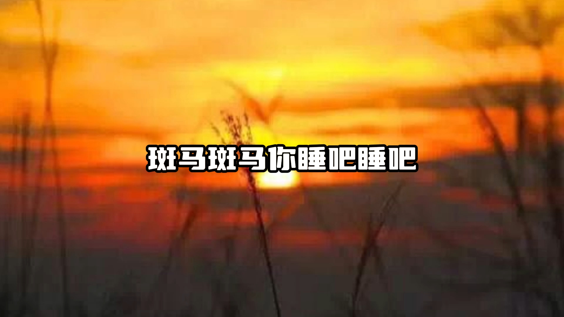 斑马斑马哔哩哔哩bilibili