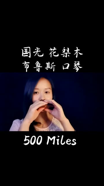 500miles口琴图片