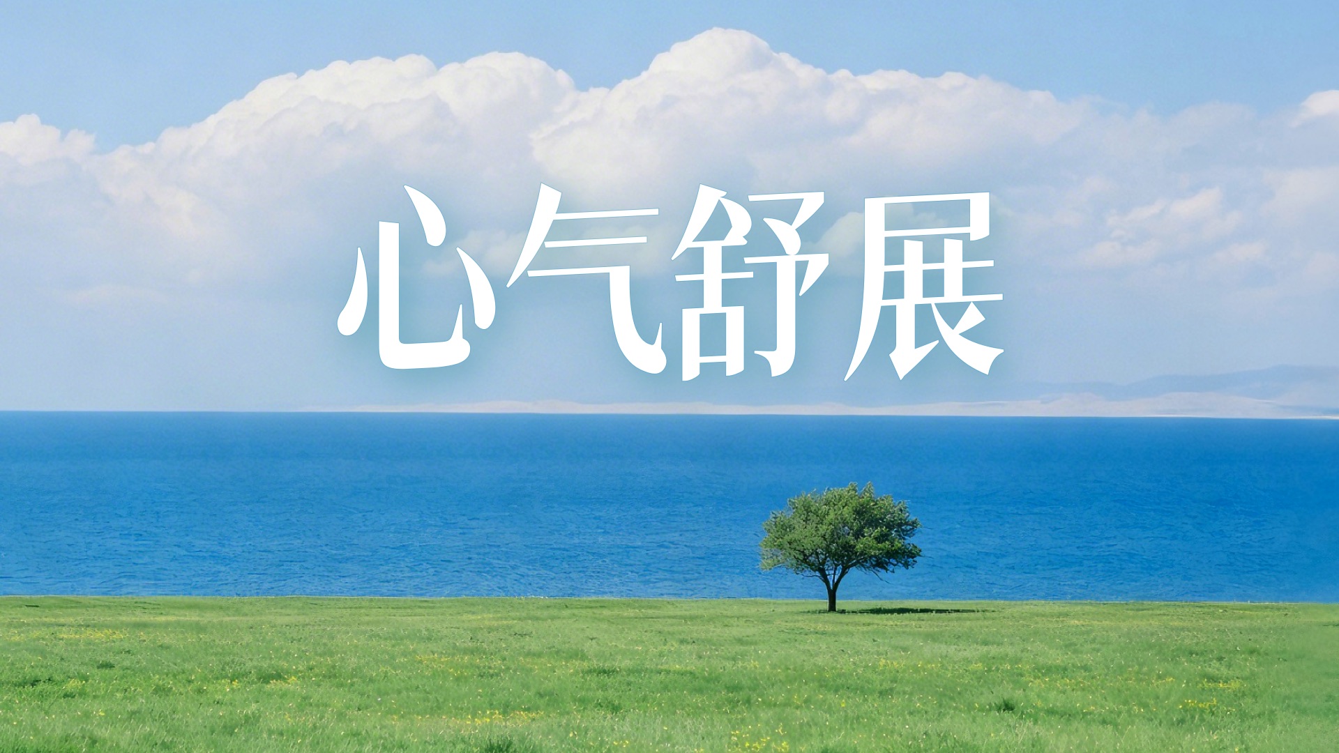 ????????・心气舒展30分钟｜疏肝如沐风，心开如晴空｜中医五音疗愈 × 夏日禅意｜高音质电影级纯音乐｜阅读 / 工作 / 冥想