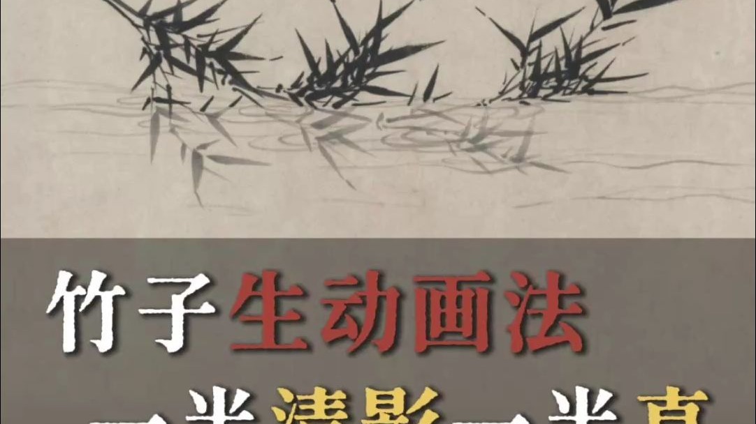 竹子生动画法，一半清影一半真