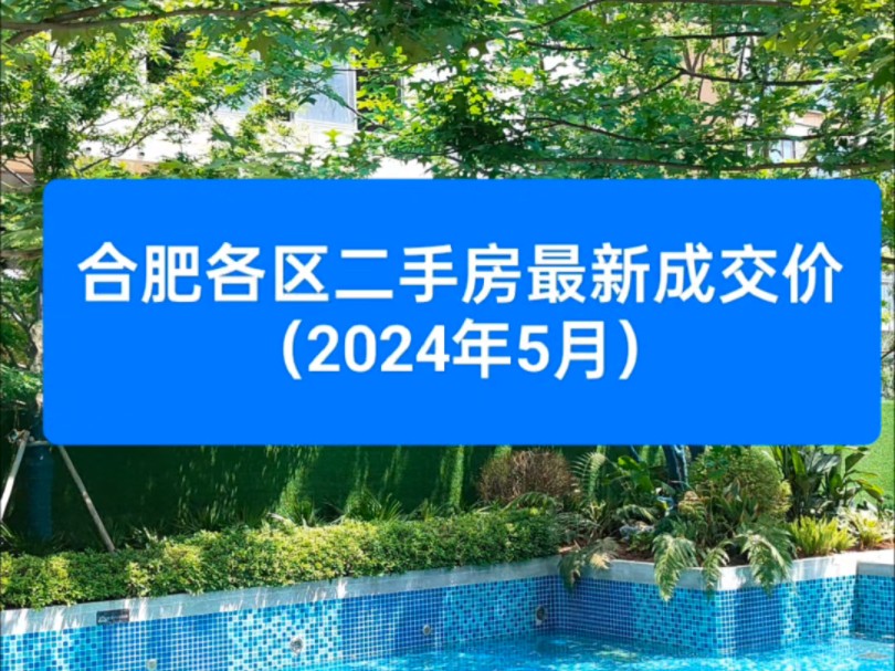 合肥2024年5月最新二手房成交价出炉.哔哩哔哩bilibili