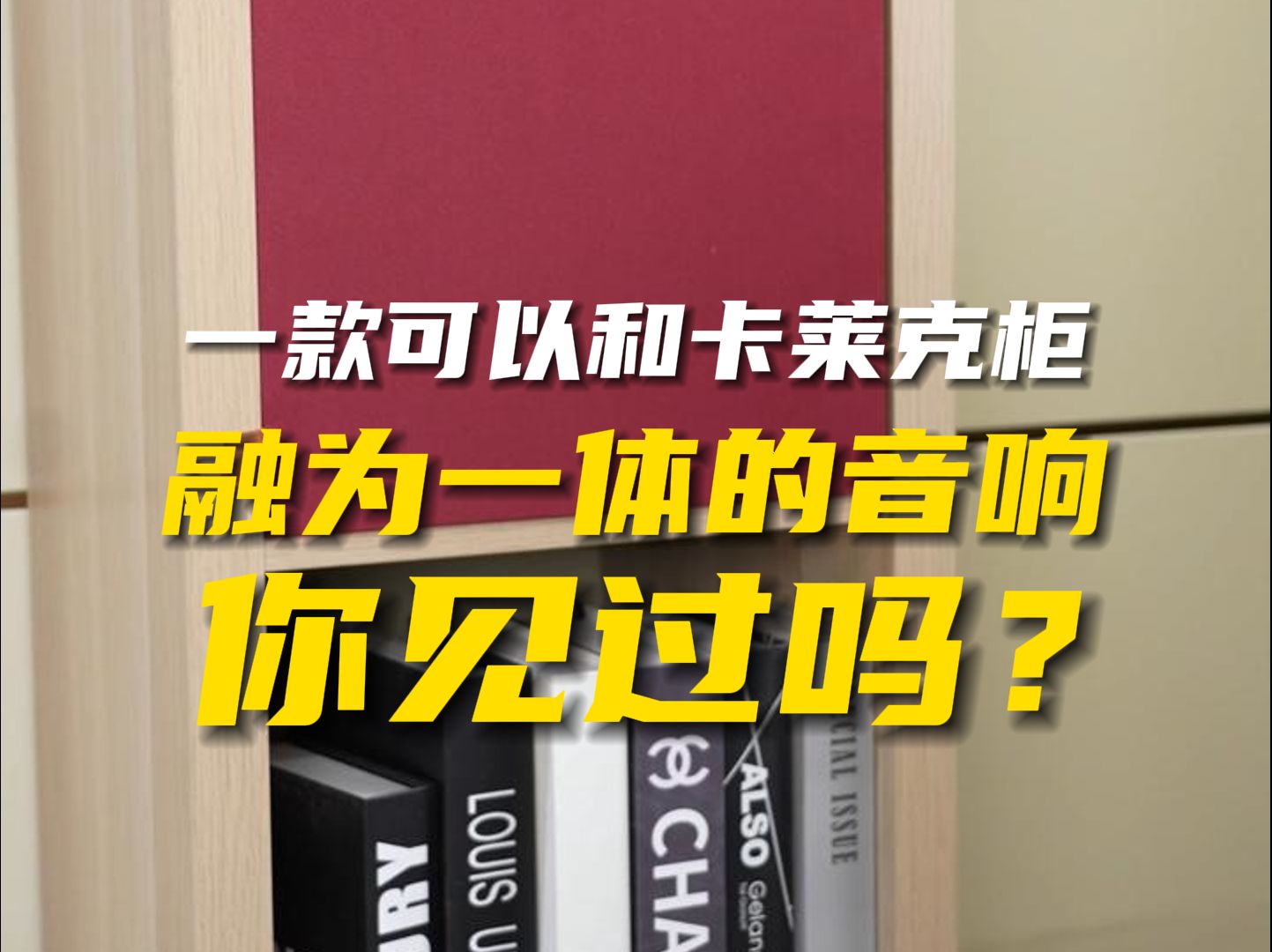 一款可以和卡莱克柜融为一体的音响你见过吗?哔哩哔哩bilibili