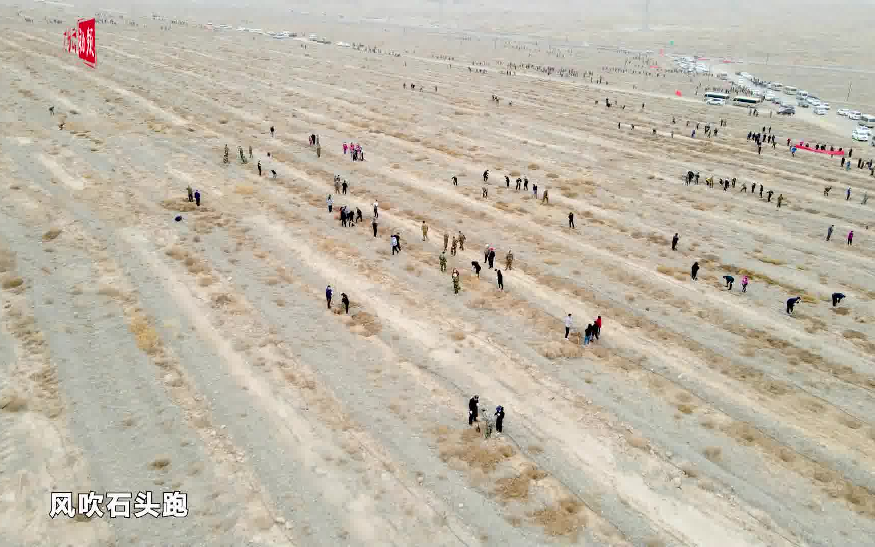 [图]又是一年芳草绿 植树造林正当时——新疆克州