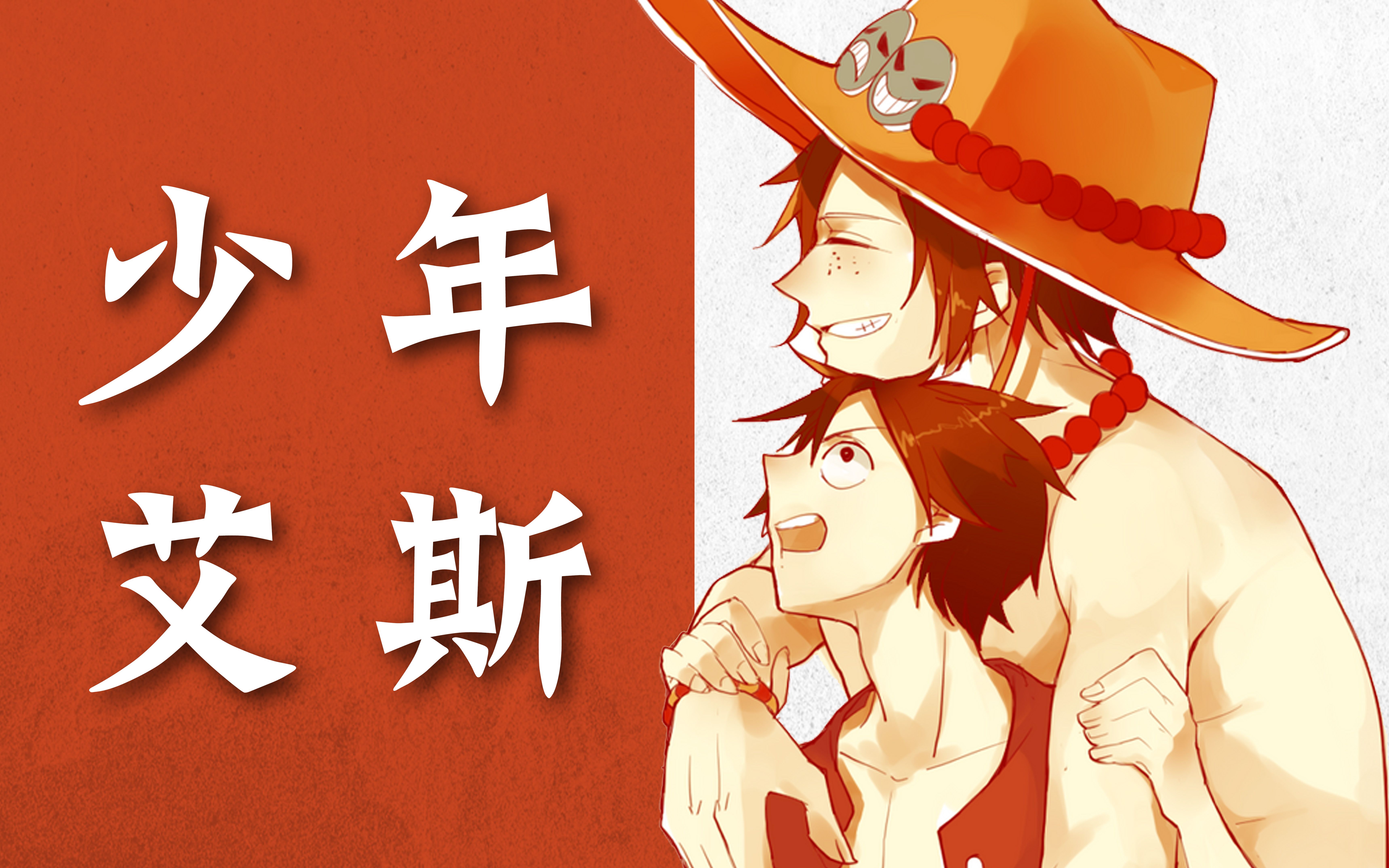 海贼王艾斯请替上我的那一份好好活下去丨少年篇