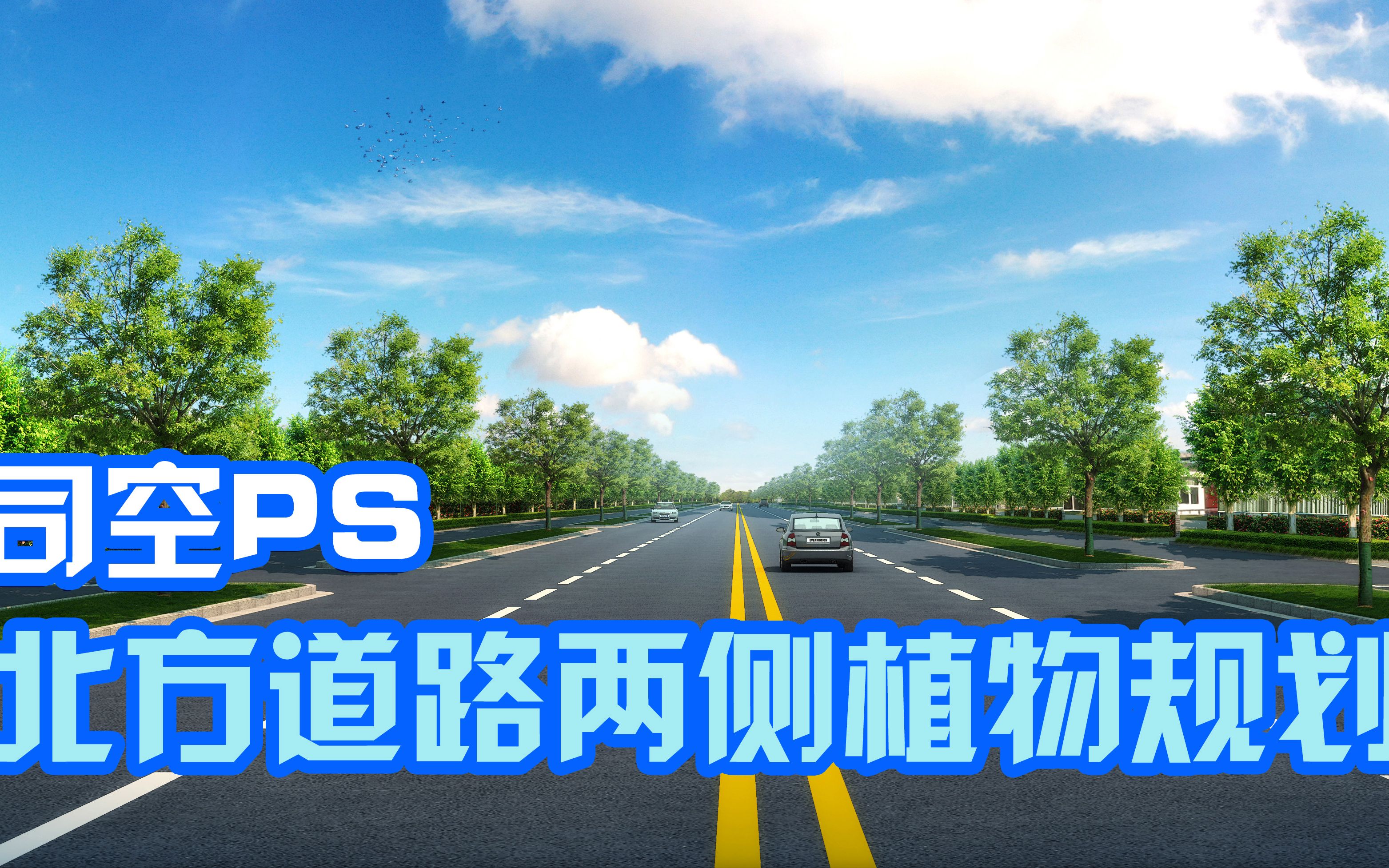 【司空侠ps教程】北方道路国槐行道树景观效果图