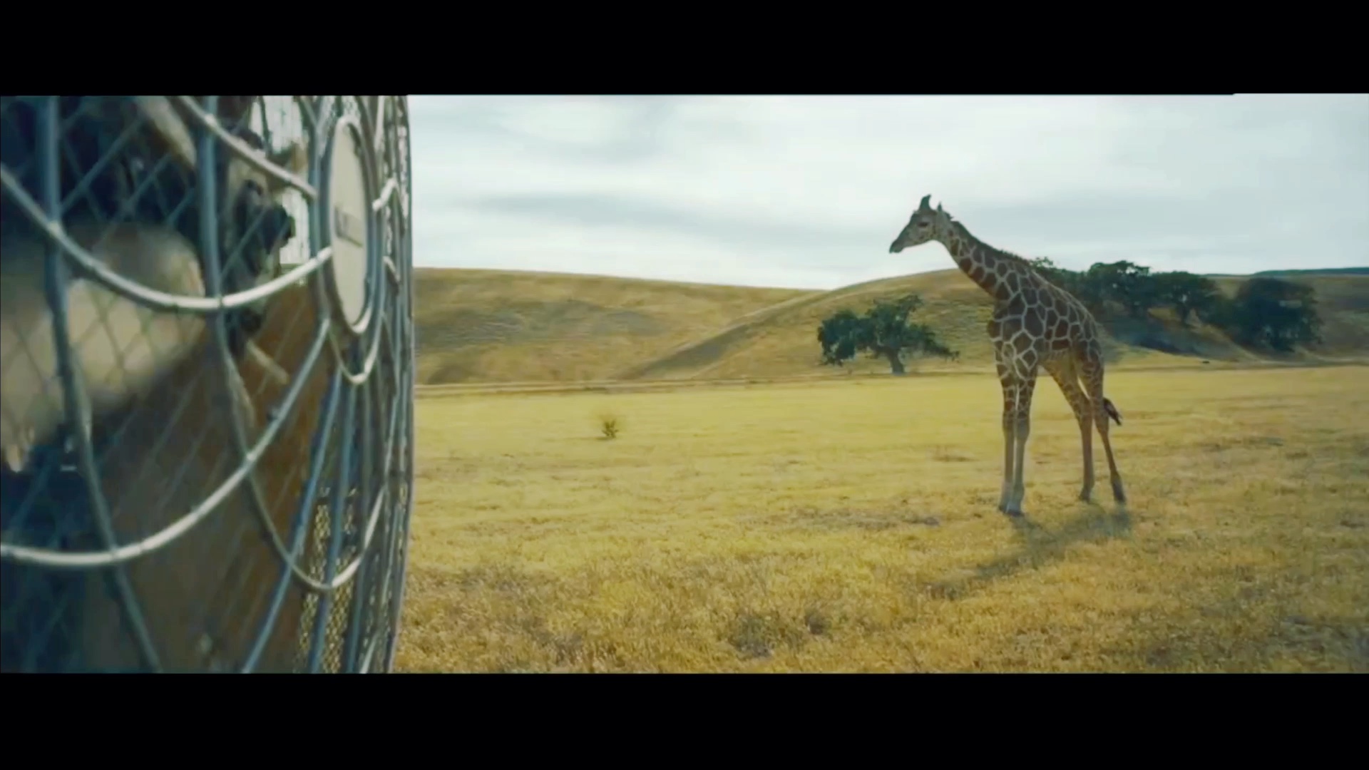 霉霉的1989wildestdreams自制字幕尝试