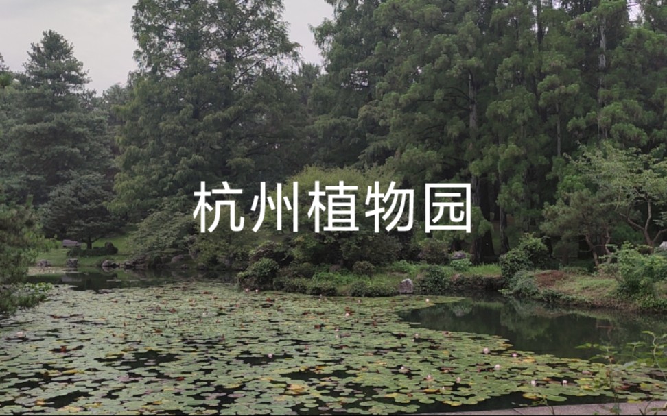 【旅游记录】杭州植物园认知实习哔哩哔哩bilibili