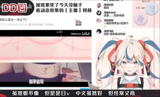 Download Video: 【金切遊楽】大黄鸟看一身正气的鸽鸽感到震惊：她原来是这种直播风格来着？