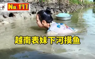 Tải video: 越南表妹又来下河摸鱼，越南人比中国人还牛，就没有他们不敢吃的东西，河虾，清道夫，福寿螺都捡回去吃了#下河摸鱼