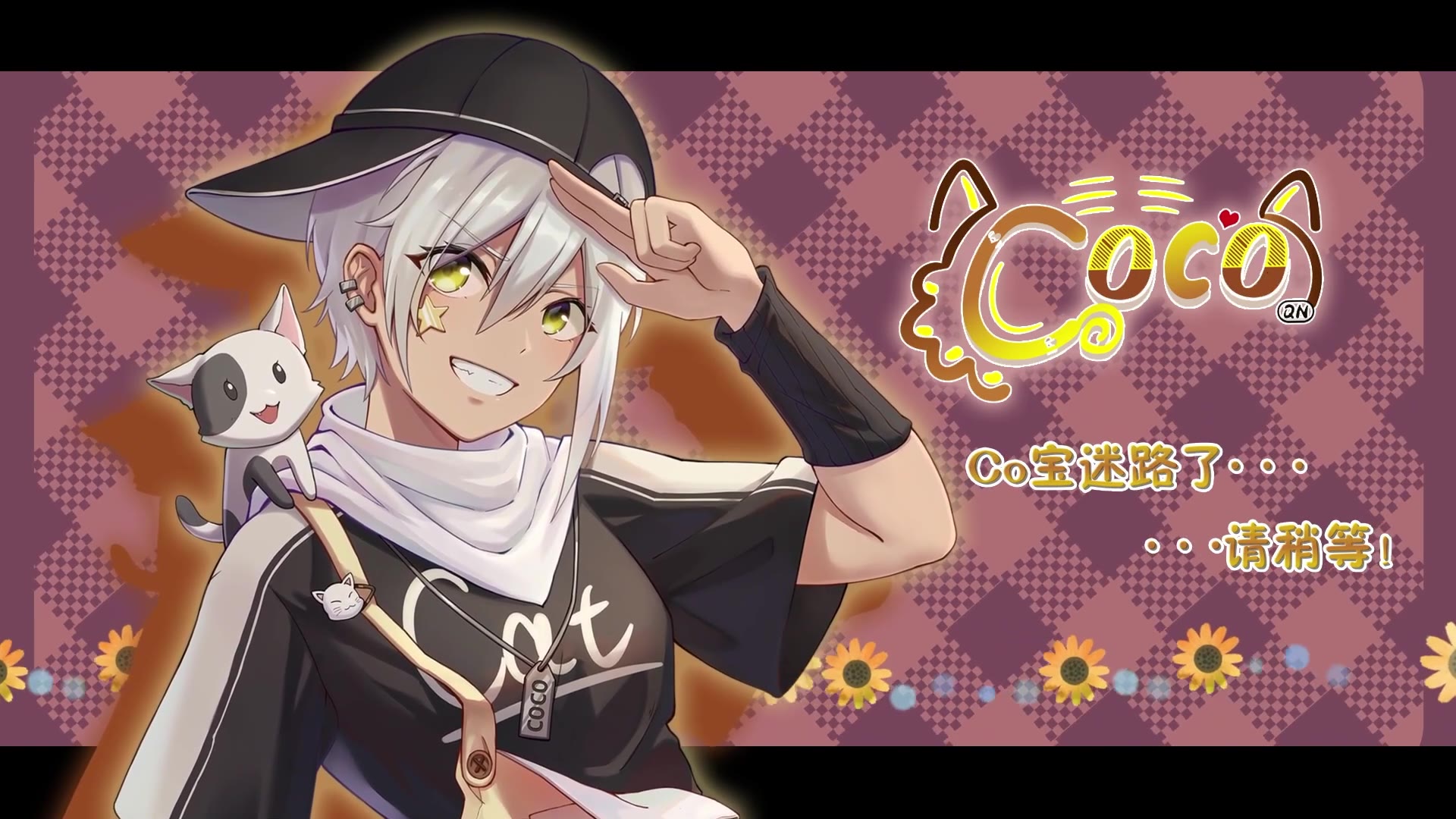 千鸟_Coco01.13 等我！我和猫打起来了！_哔哩哔哩_bilibili