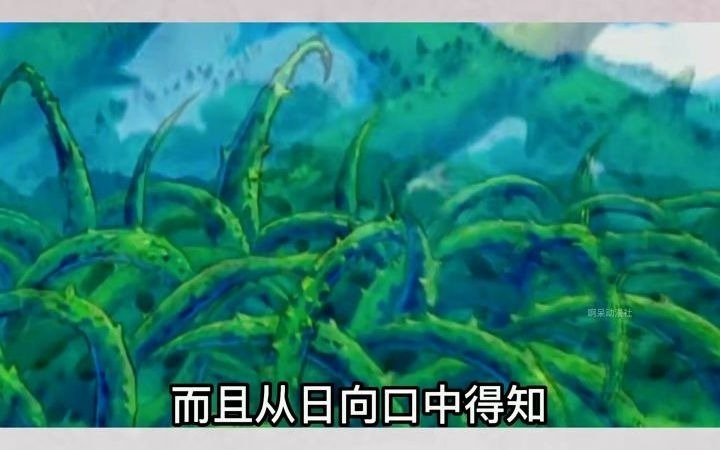 森林守护神雪拉比登场!哔哩哔哩bilibili