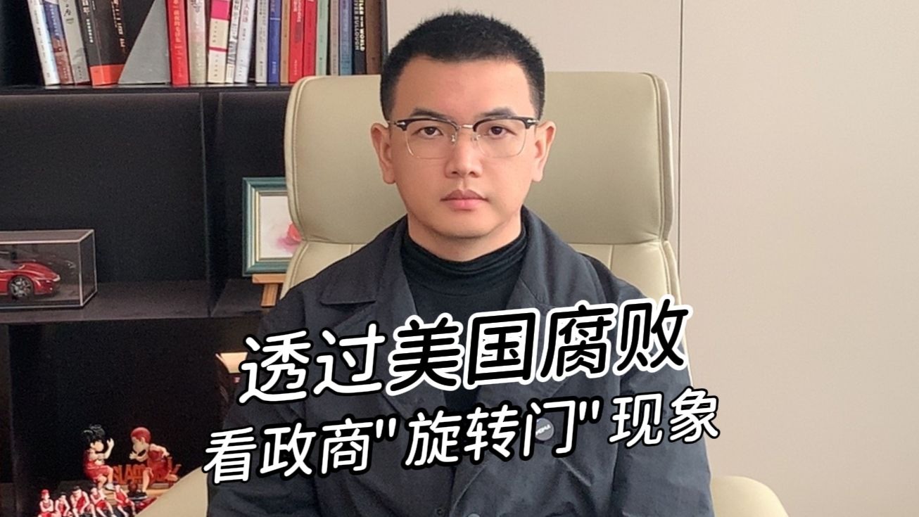 原来政商“旋转门”，才是美国最大的问题-卢克文工作室-卢克文工作室-哔哩哔哩视频