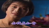 [香港经典回忆] 九十年代广告 普闻卡拉OK机 (陈松龄)(1990)哔哩哔哩bilibili