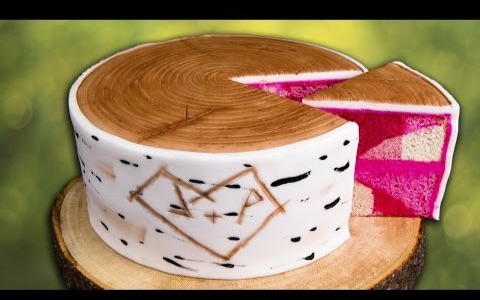 树皮蛋糕how to make a birch bark log cake w- hidden pink camoufl