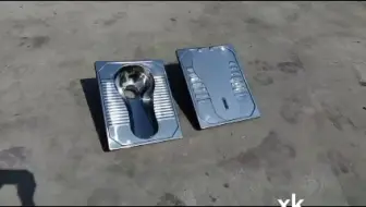 不锈钢蹲便器  水冲蹲坑后冲水 后排污 防臭带盖子可加前挡防臭器存水弯隐藏提手 厕所改造工程公厕用移动厕所 公共卫生间