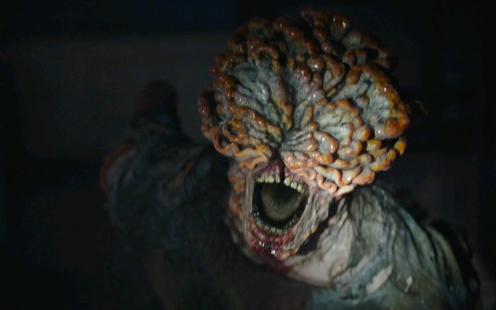 末日生存美剧《最后生还者》循声者