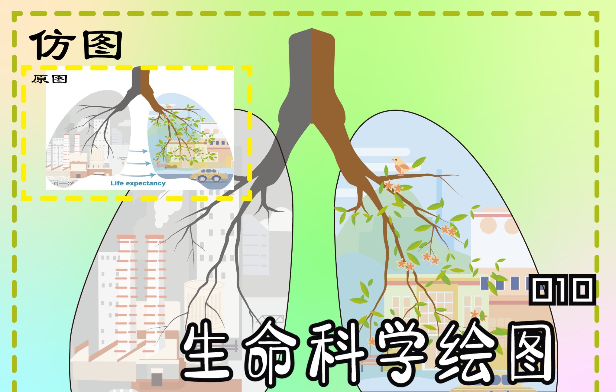 【好学】生命科学绘图练习010_哔哩哔哩_bilibili