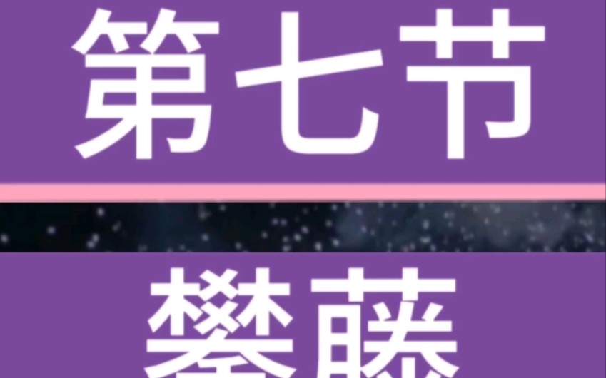 66个平花动作轮滑教学 攀藤哔哩哔哩bilibili