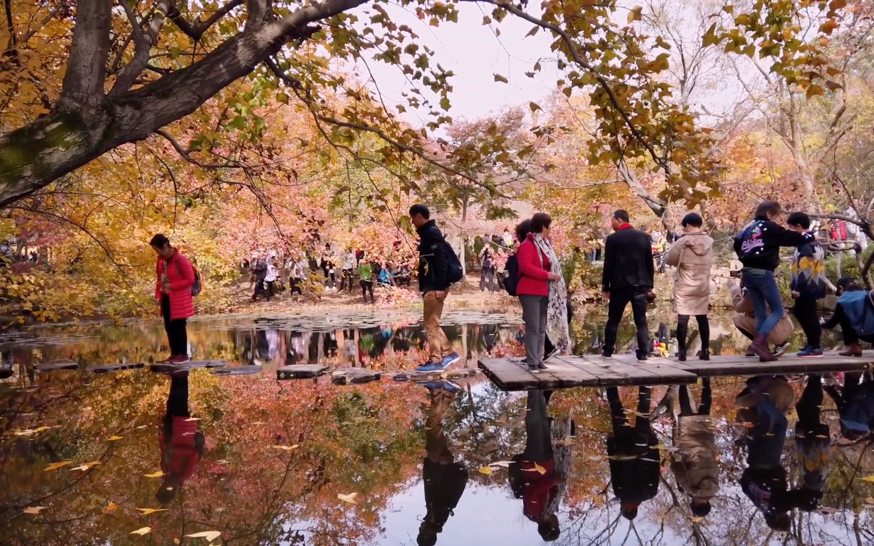 [图]约上朋友带上娃，到苏州天平山看最大枫树林，这山真的是爬上来的