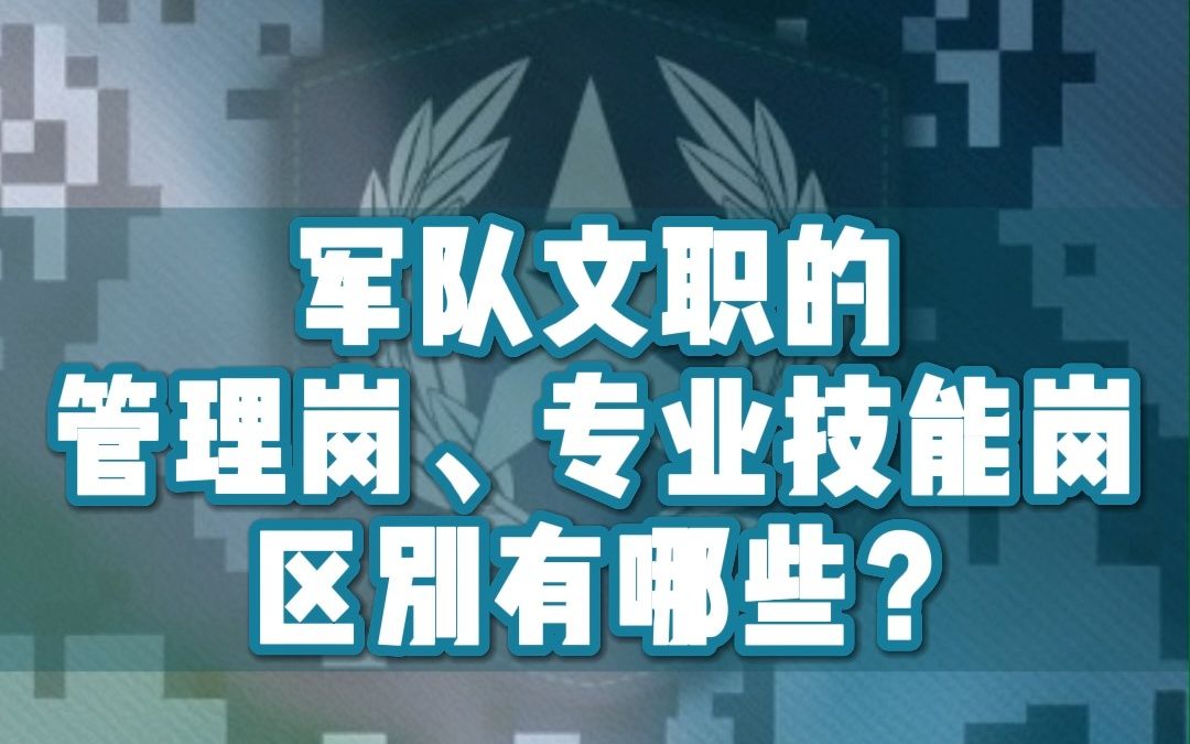 军队文职的管理岗、专业技能岗区别有哪些?哔哩哔哩bilibili