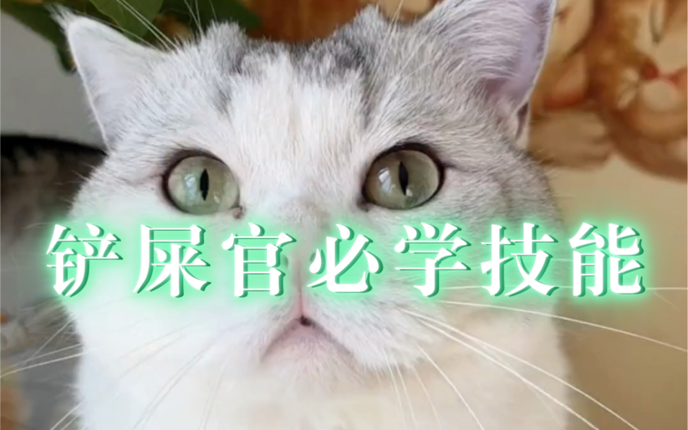 [图]每个铲屎官必学的技能～控猫方法