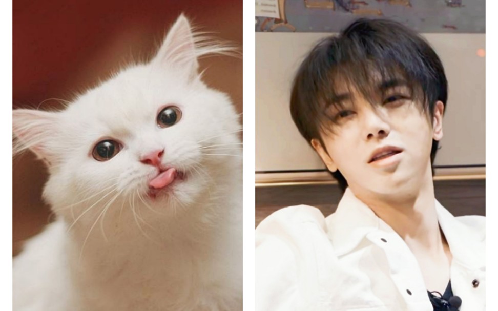 【华晨宇】更新第六弹,萌花猫继续!好像更新增加视频不会出现动态呢