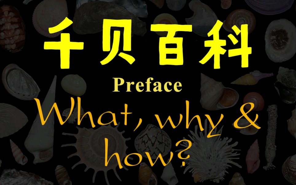 千贝百科——Preface哔哩哔哩bilibili