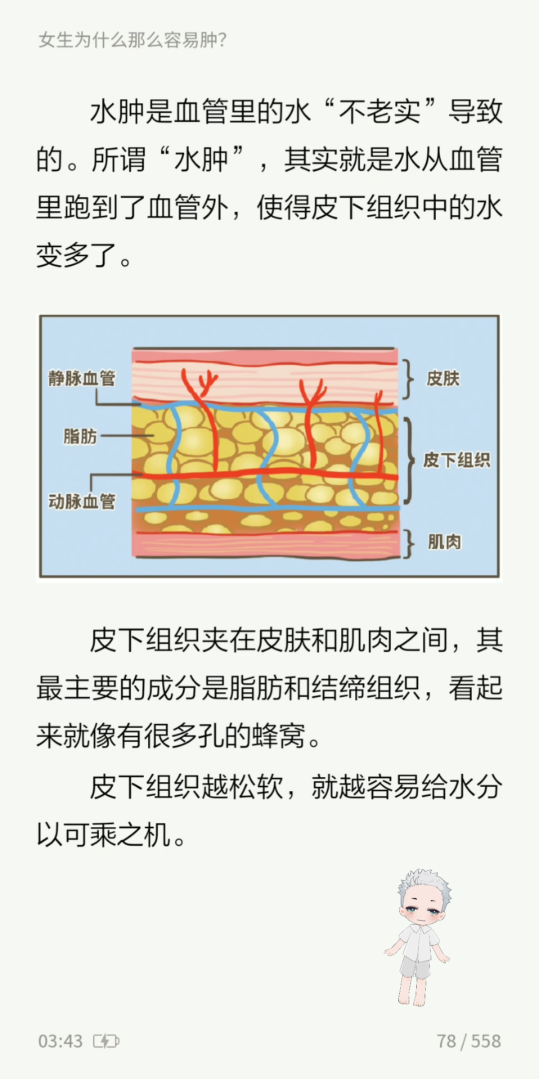 人体皮下组织结构图图片