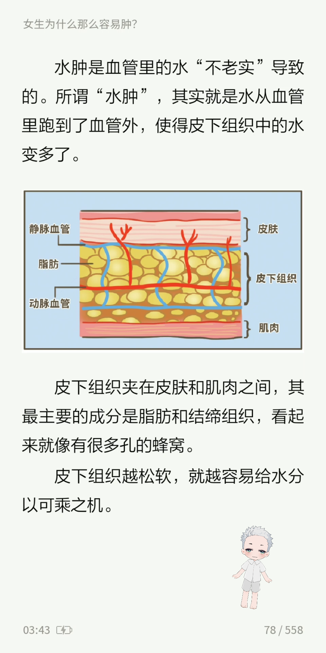 皮下组织解剖结构图图片