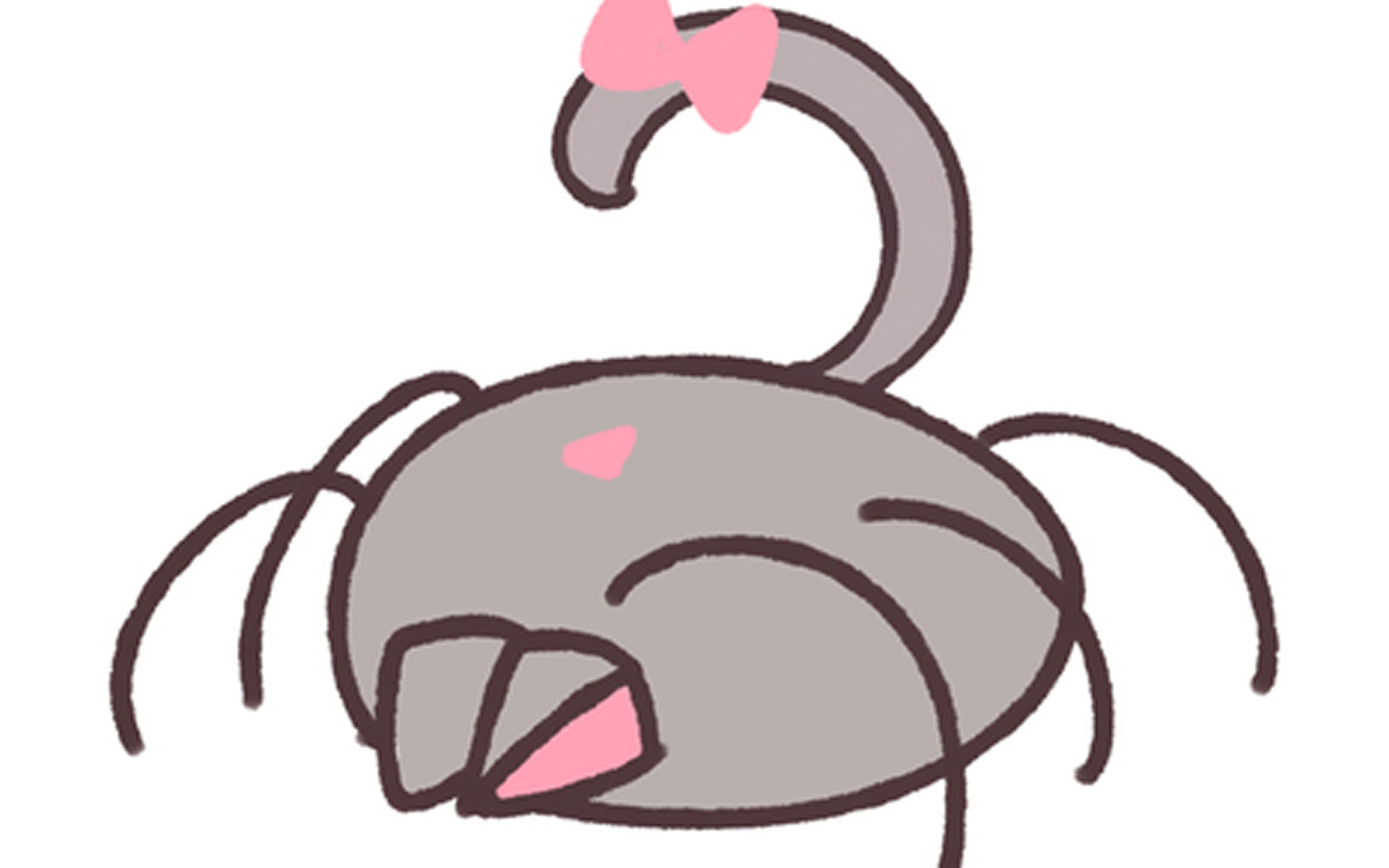 活动作品沃玛生物一只可爱的猫