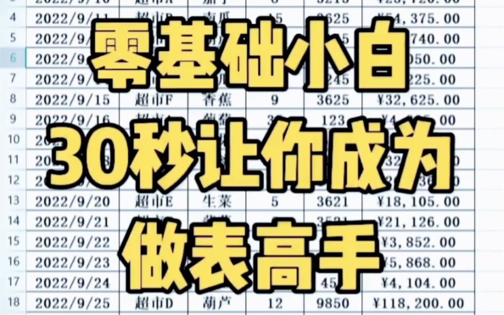 零基础小白30秒轻松成为做表高手,Excel表格零基础快速学习哔哩哔哩bilibili