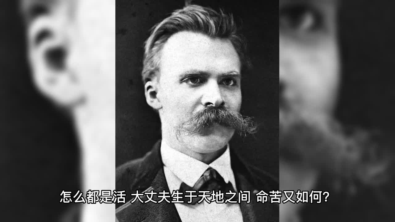 尼采在1886年之后写作,状态已经很差了.哔哩哔哩bilibili