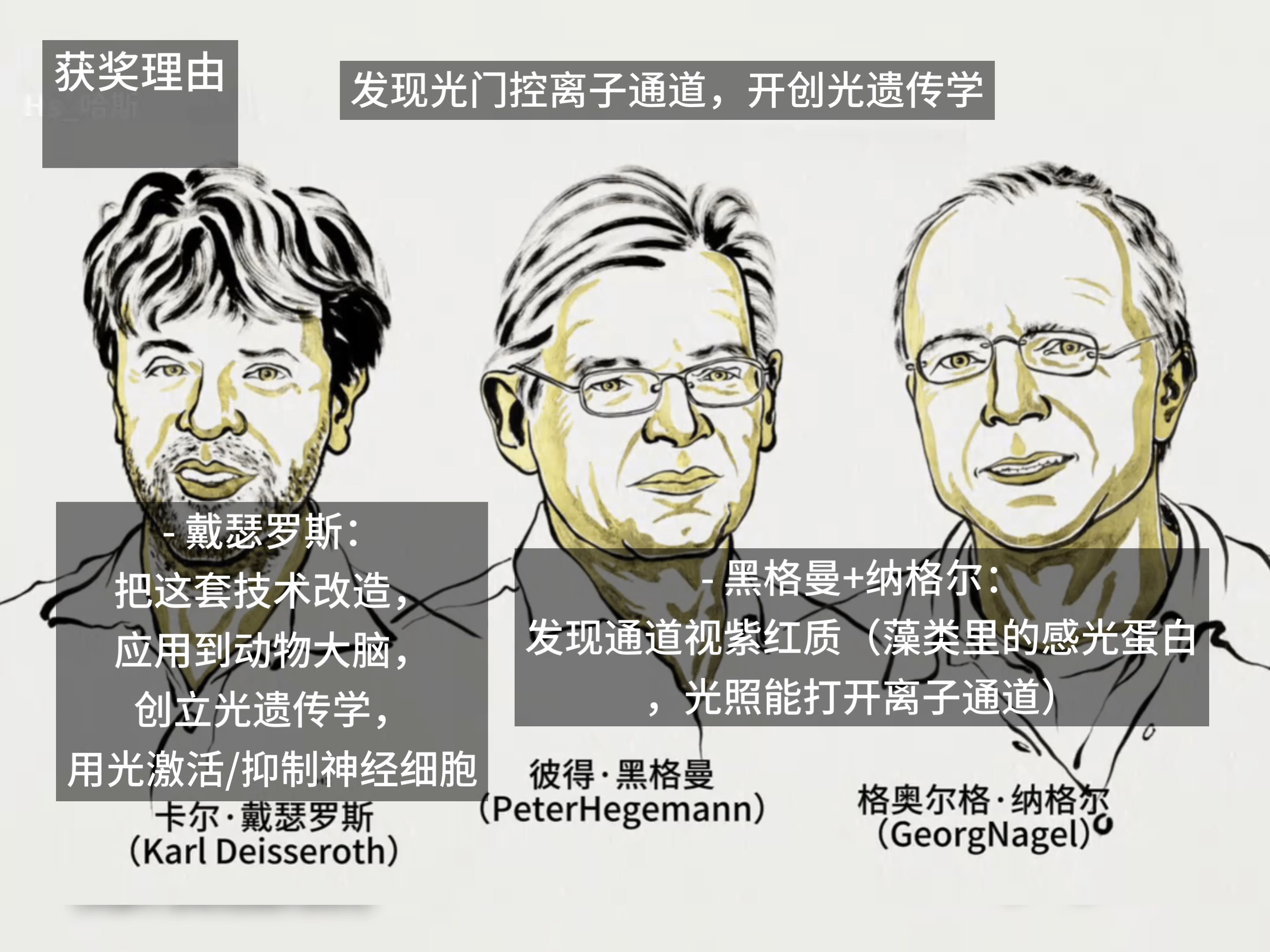 2026年诺贝尔生理学或医学奖出炉