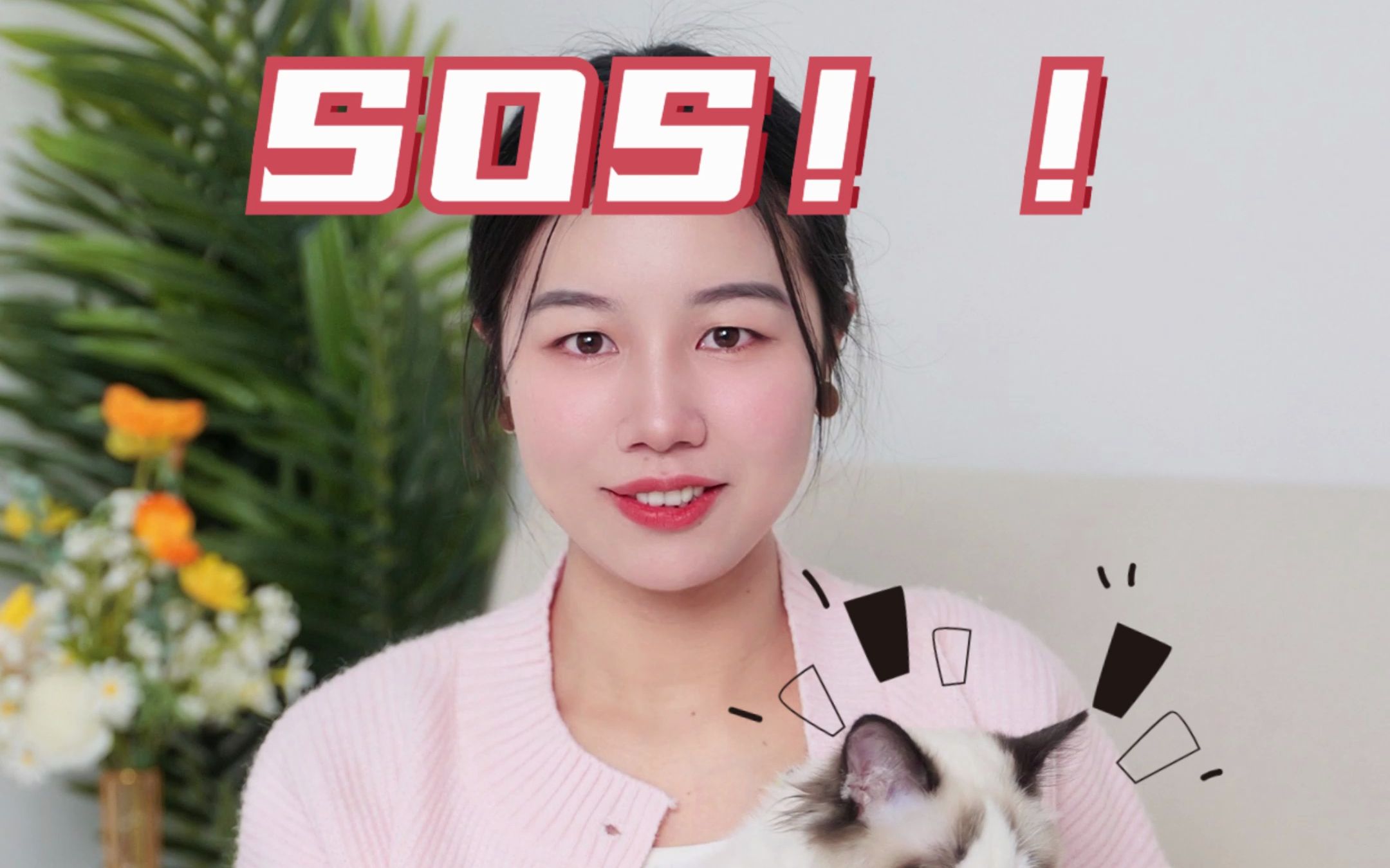 SOS!!4个猫咪求救信号哔哩哔哩bilibili