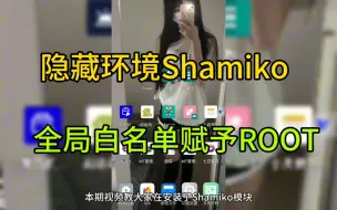 Download Video: 隐藏ROOT开启Shamiko模块全局白名单，给应用赋予权限