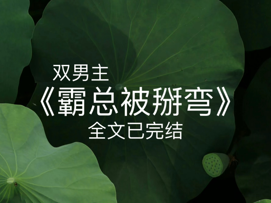 掰弯直男的乐趣