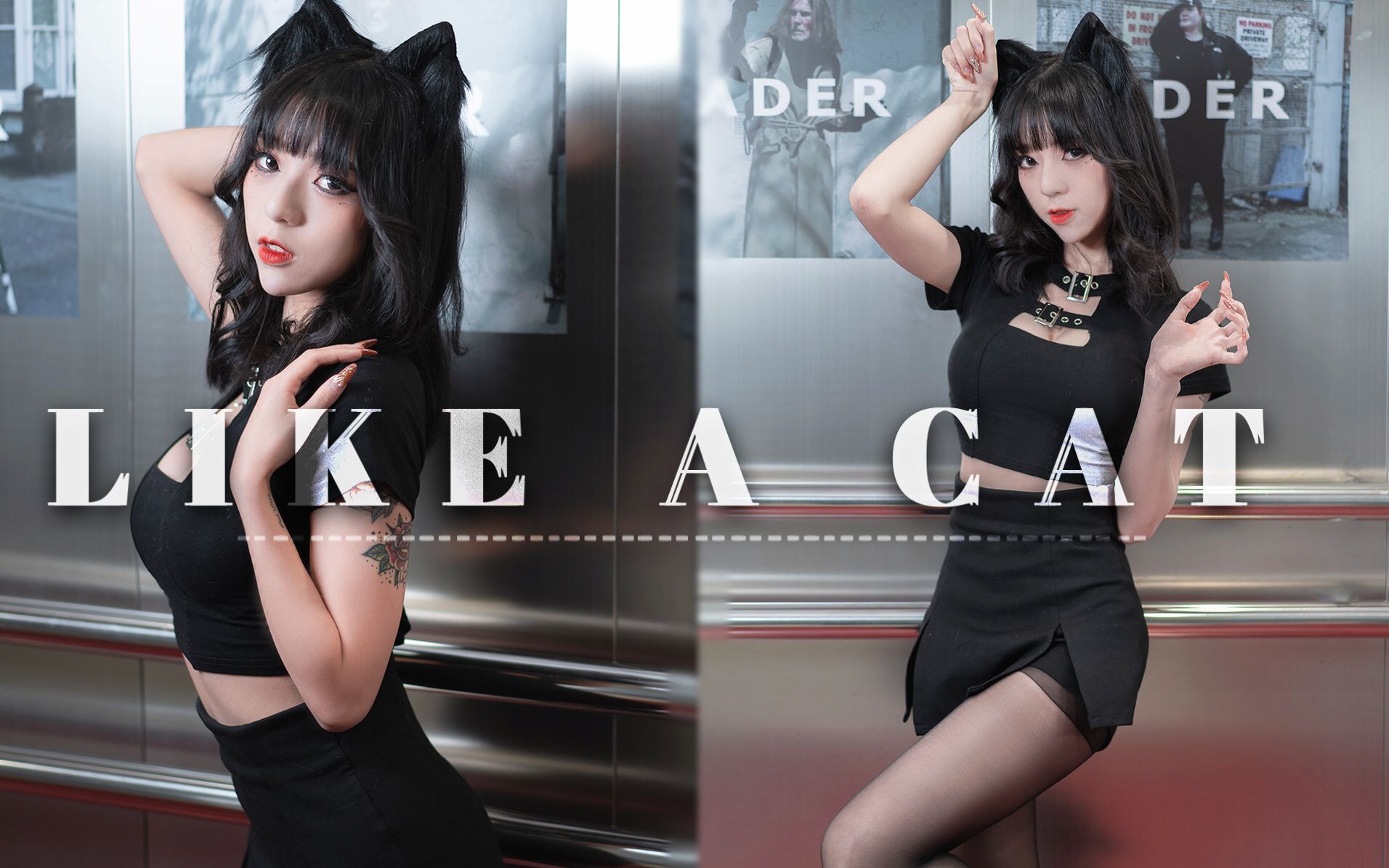 [图]【舞小喵】LIKE A CAT 竖屏版️♡黑喵的诱惑~