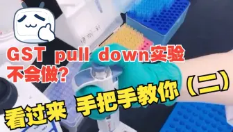 GST pull down实验不会做？看过来手把手教你！！！（二）