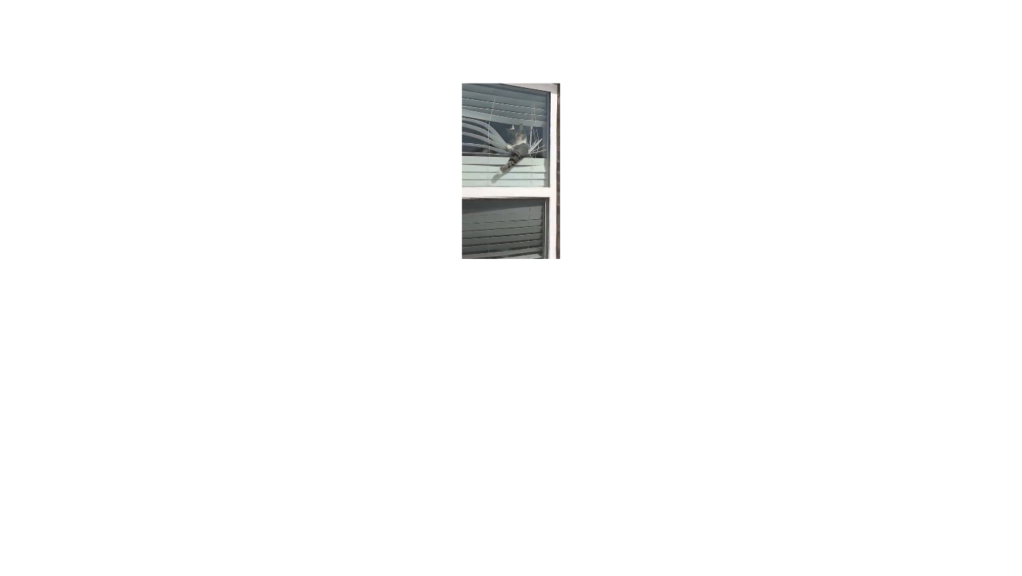 [图]爆笑笑话：用来找回密码确认本人的“密码问题”千万不要随便乱设...