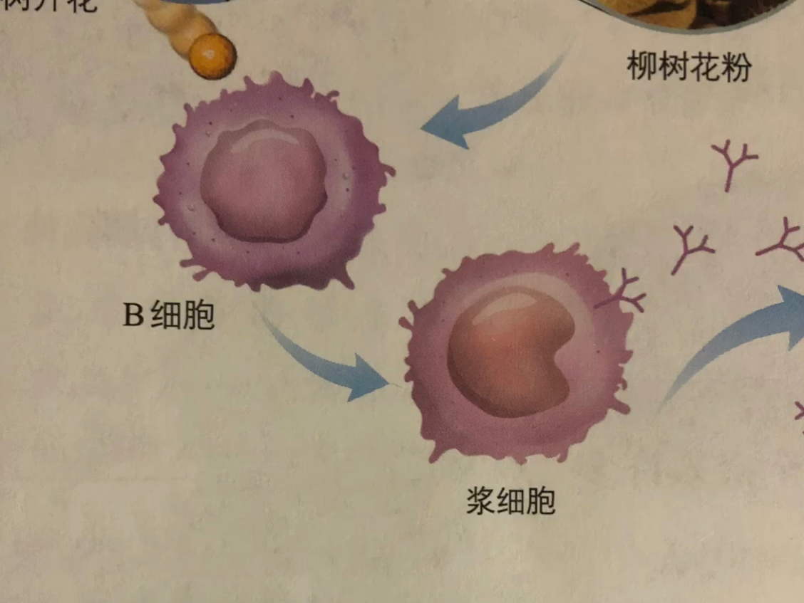 [图]想学生物的加我QQ群