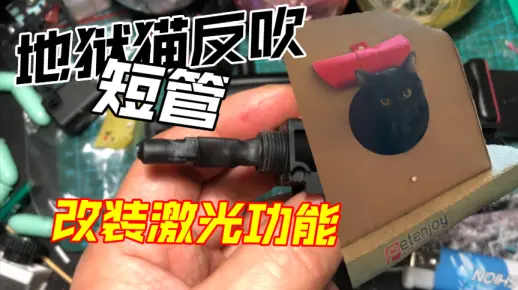 地狱猫反吹短管没有激光功能？主要是空间不够！但是，极限压缩一下还是能改出激光功能的～