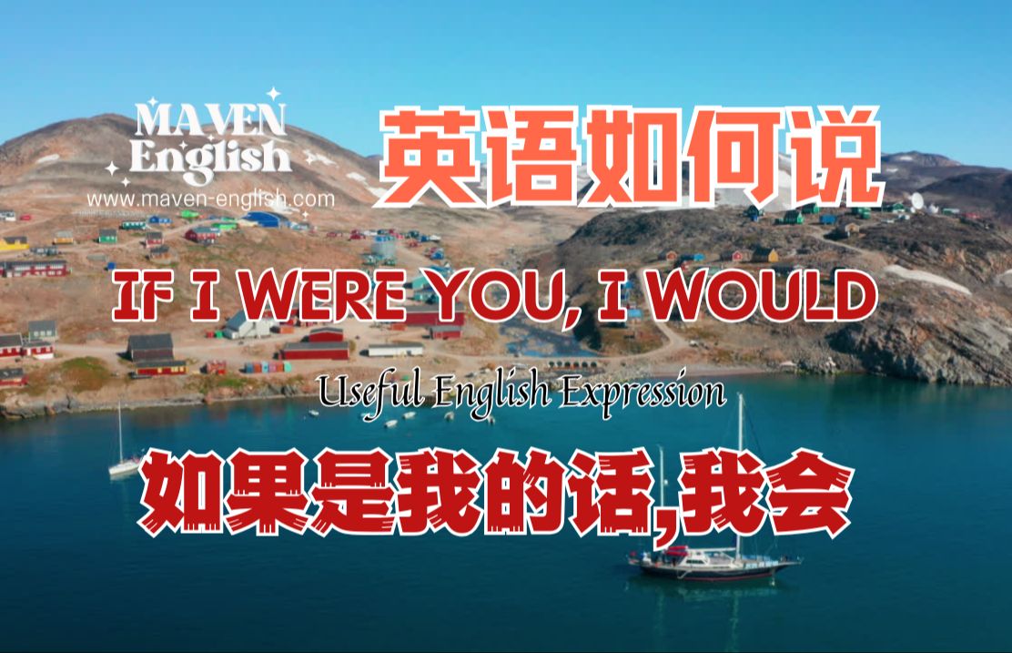 If I were you, I would 如果是我的话,我会哔哩哔哩bilibili