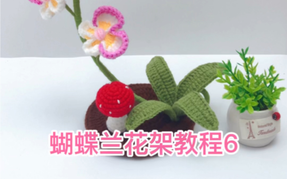 蝴蝶兰花架教程6哔哩哔哩bilibili