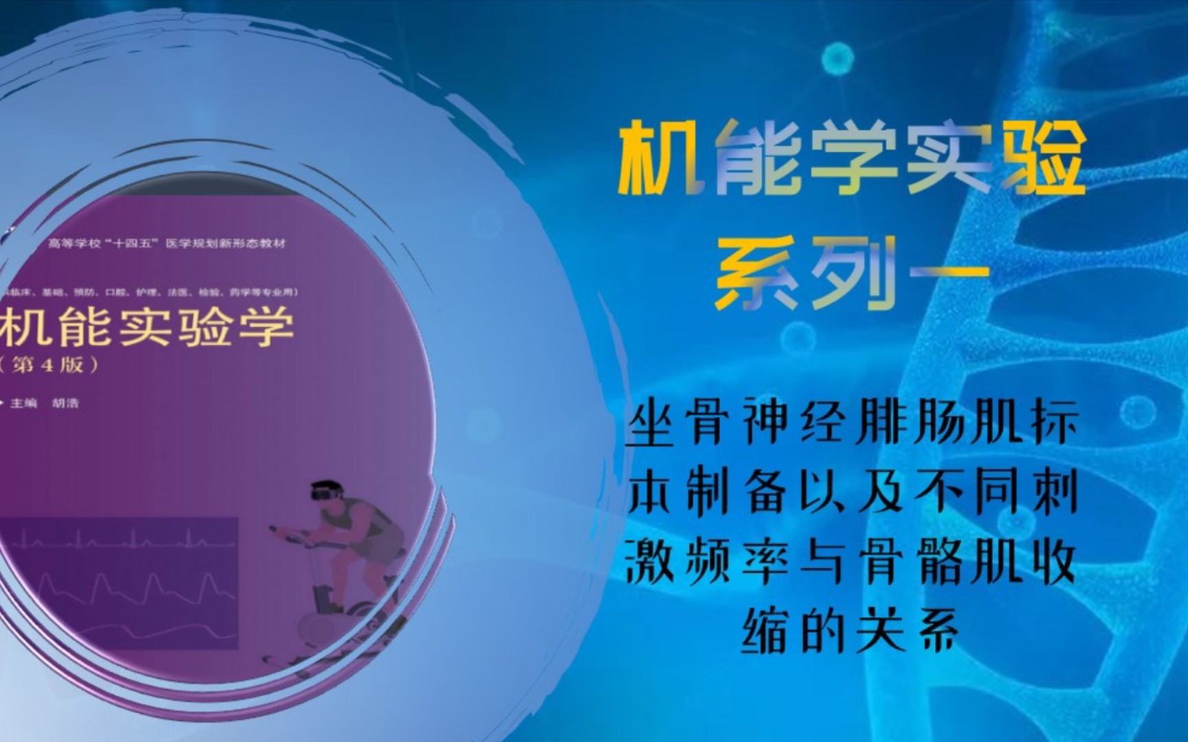 机能学实验系列一坐骨神经腓肠肌标本制备以及不同刺激频率与骨骼肌收缩的关系哔哩哔哩bilibili